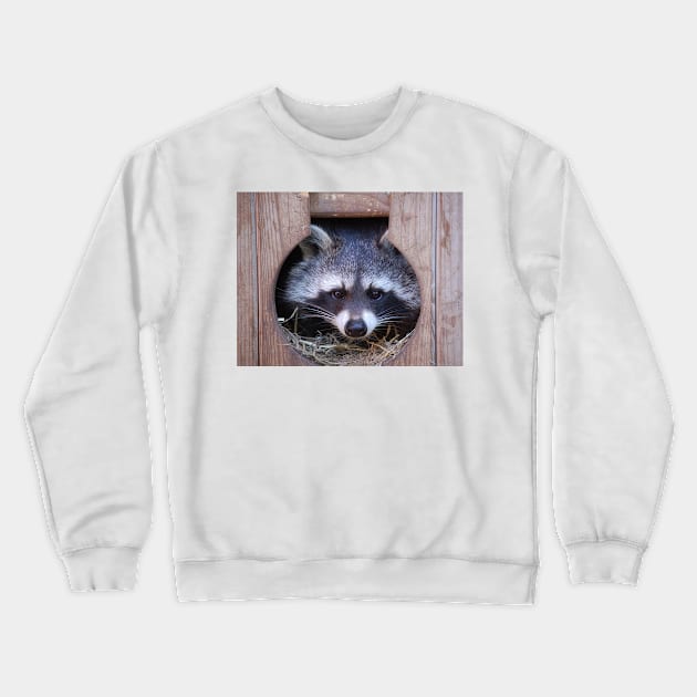 Raccoon Crewneck Sweatshirt by DeVerviers